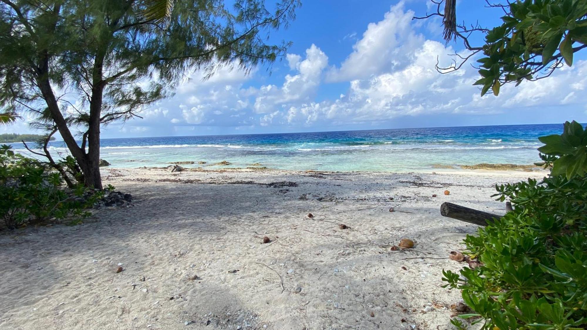 Moorea Chill And Beach Lodge Teavaro Eksteriør billede